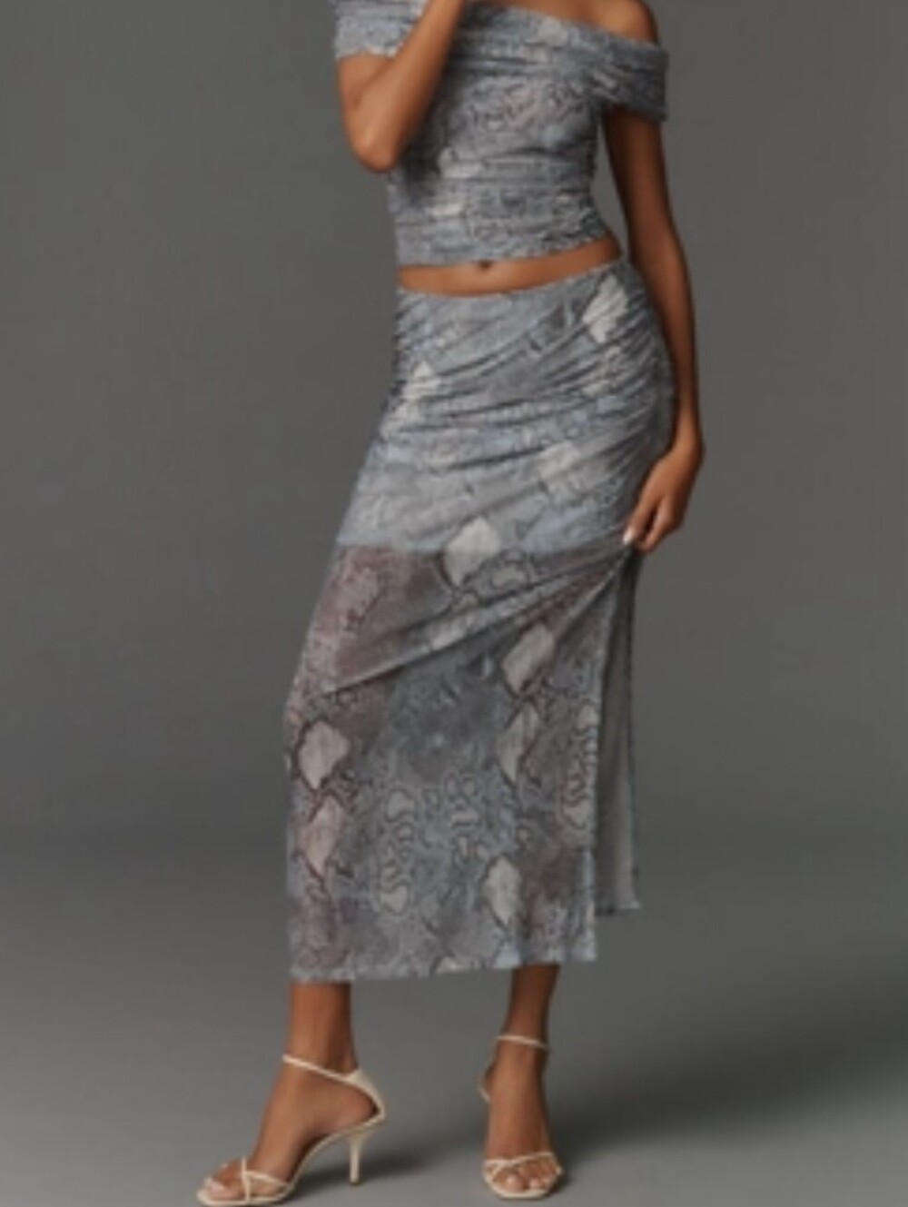 NWT Aleda Mesh Ruched Maxi Skirt by Maeve